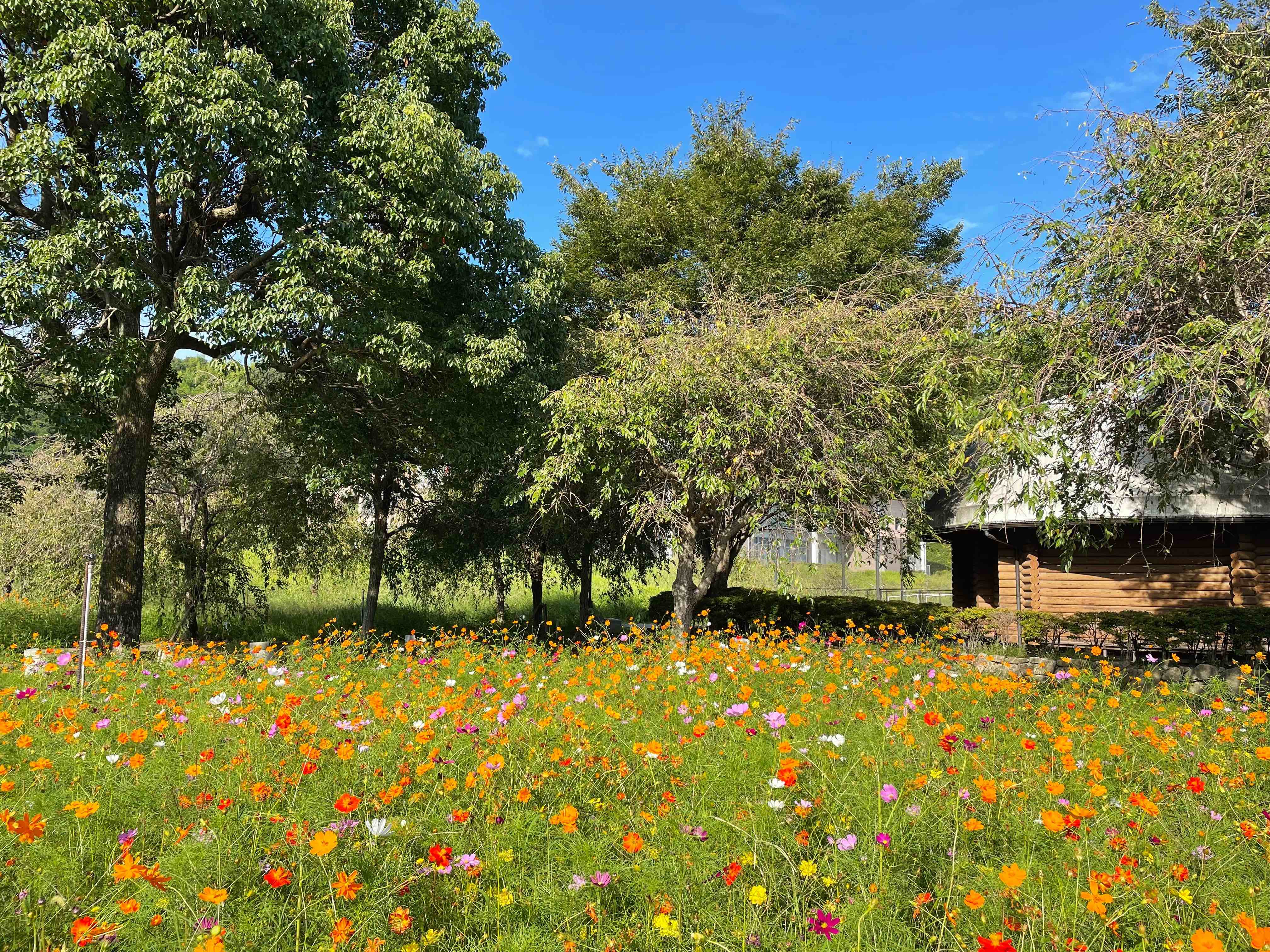 2022年9月の画像