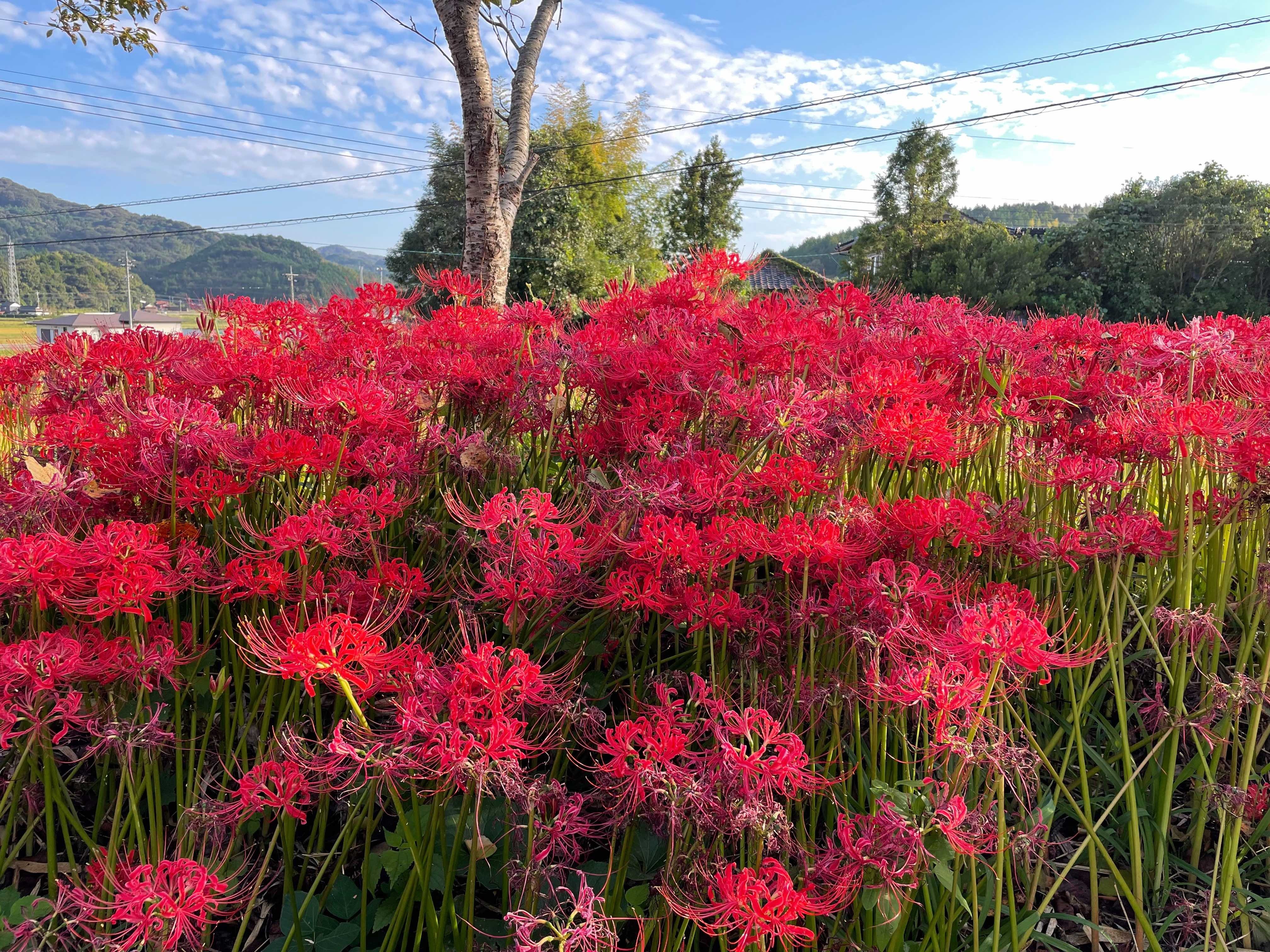 2022年10月の画像