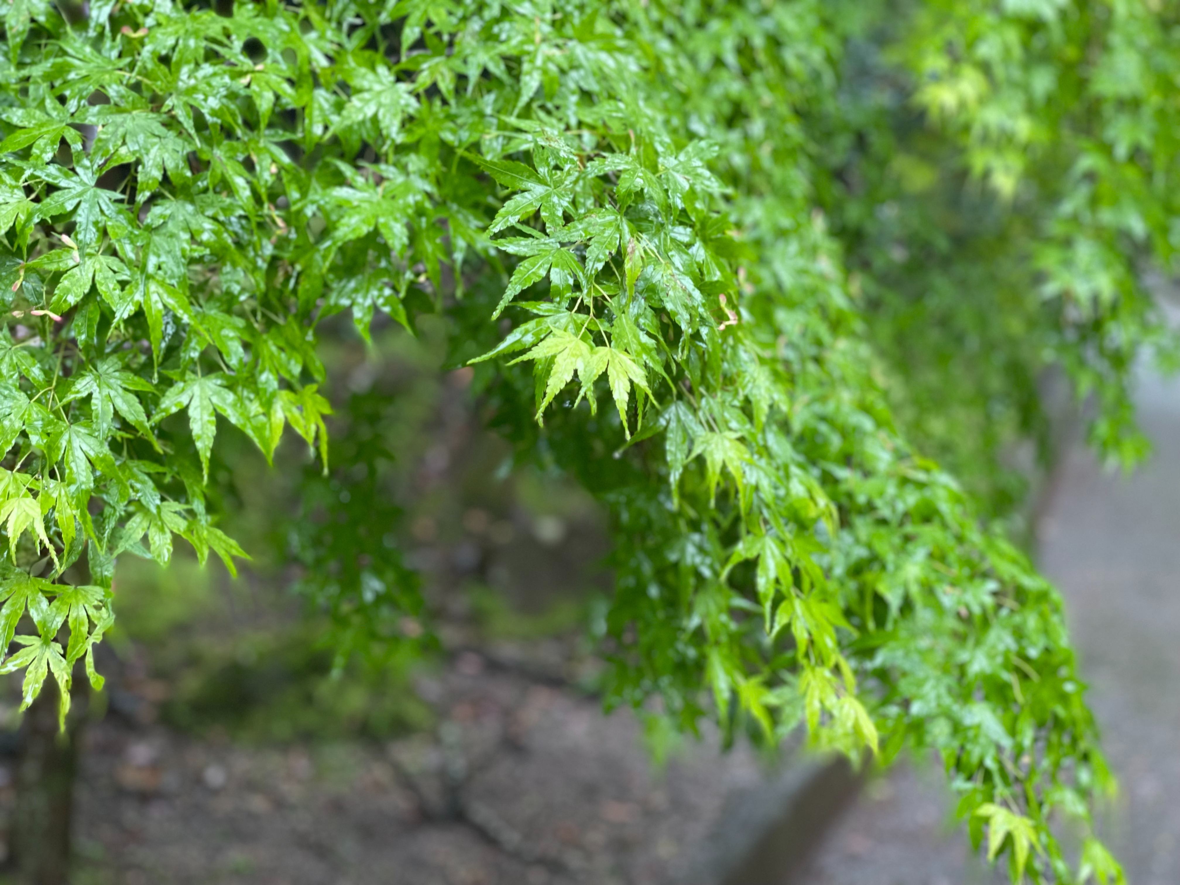 2023年5月の画像