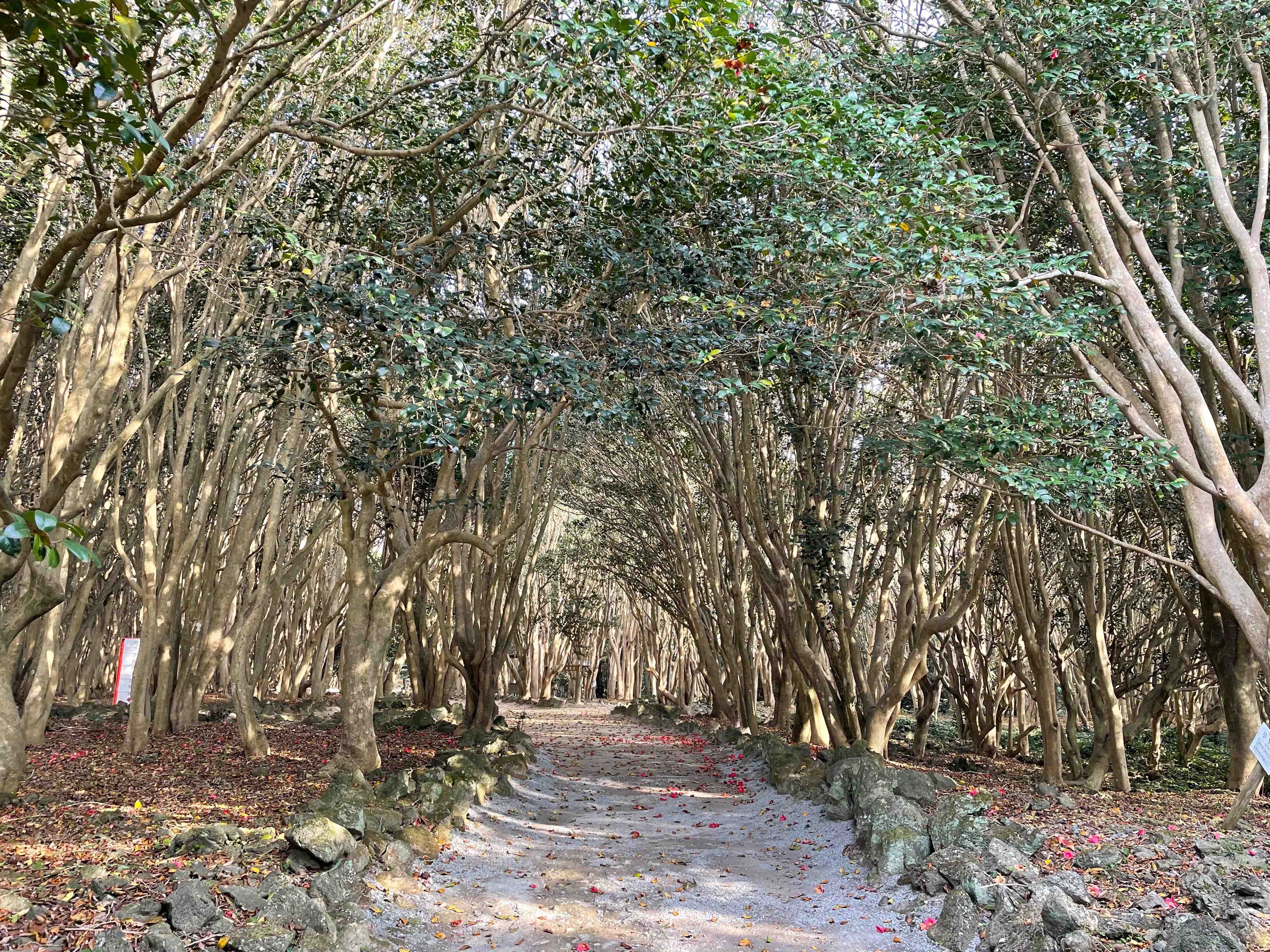 2023年6月の画像