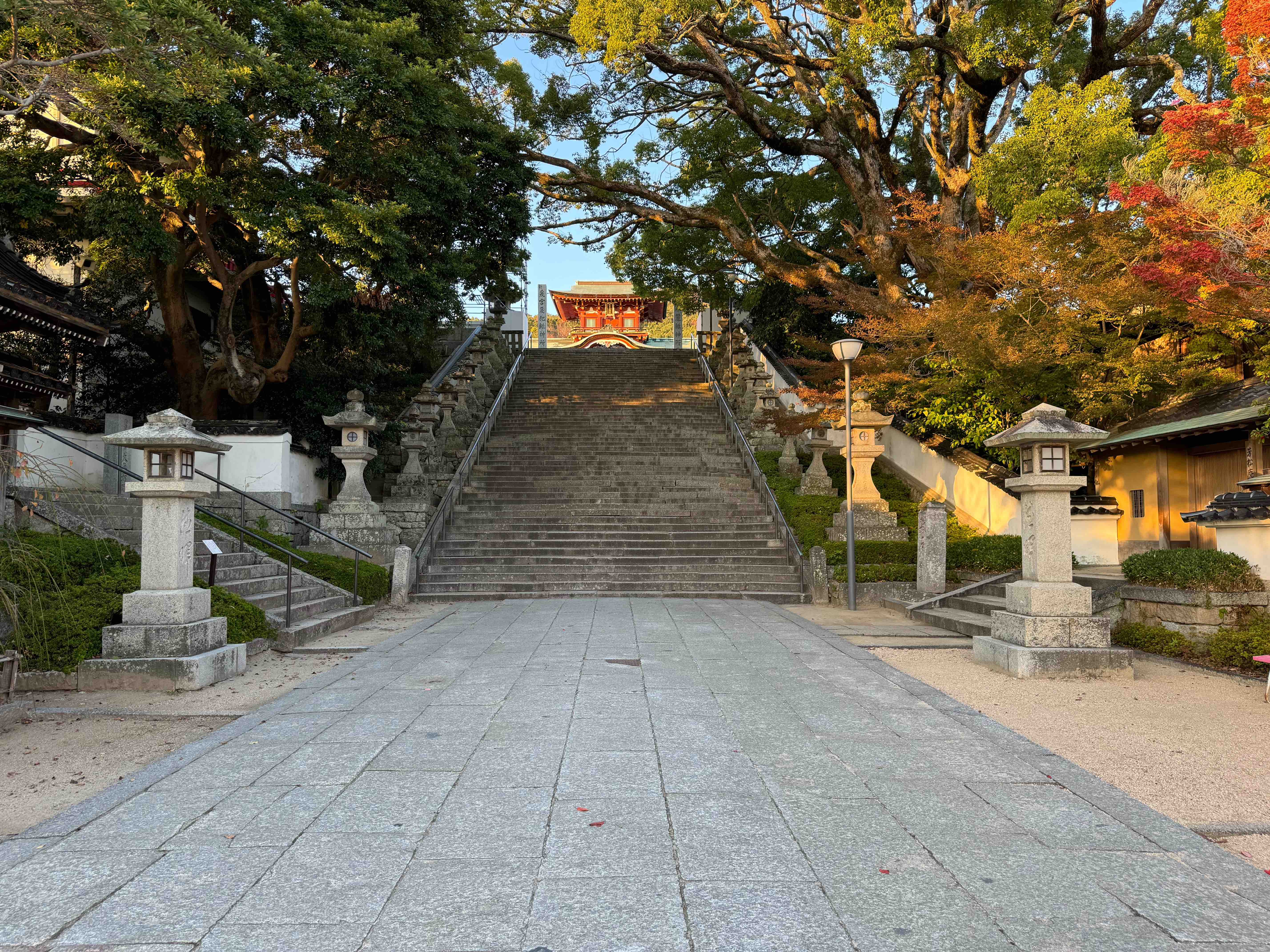 2023年12月の画像