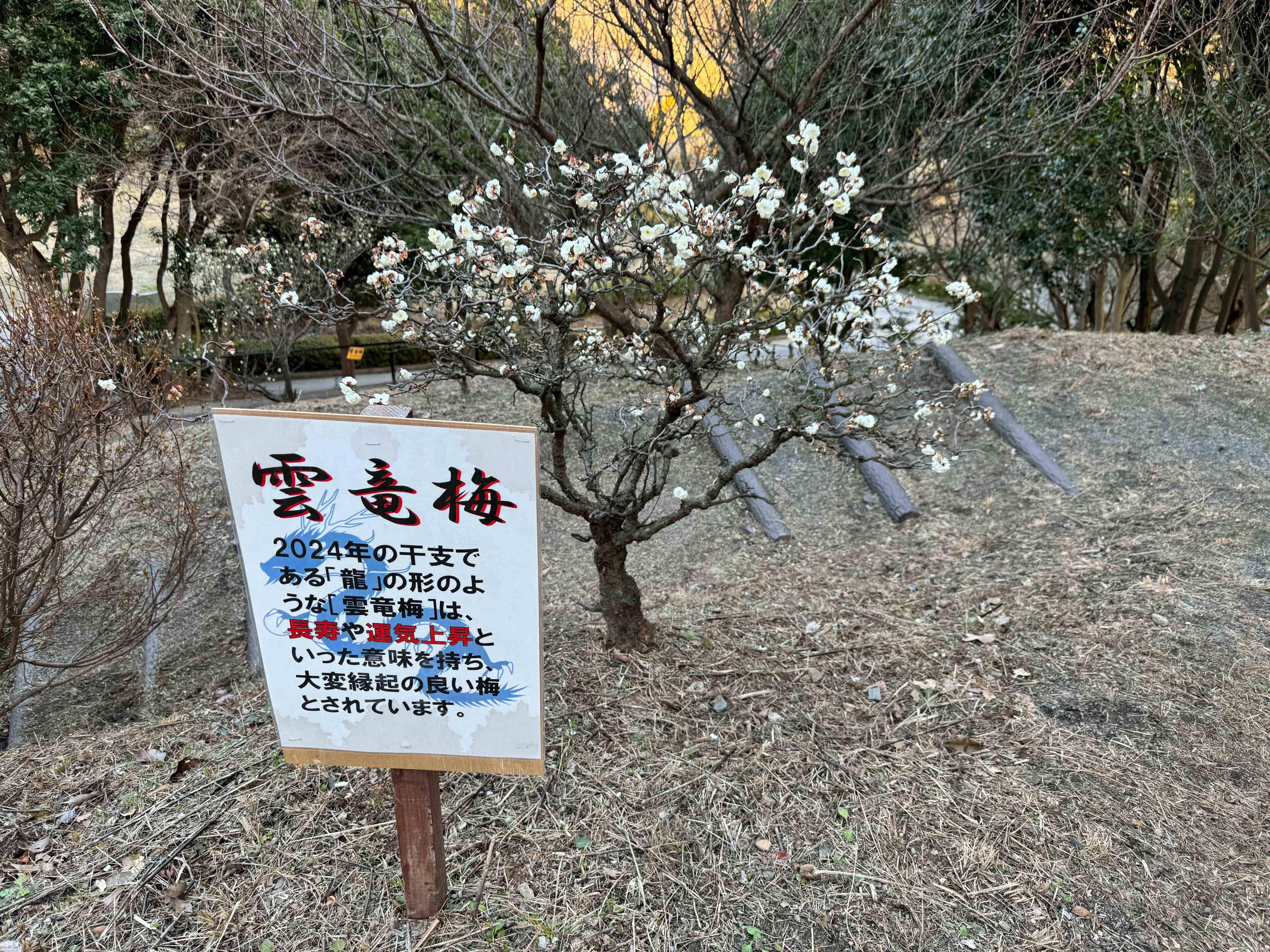 2024年2月の画像