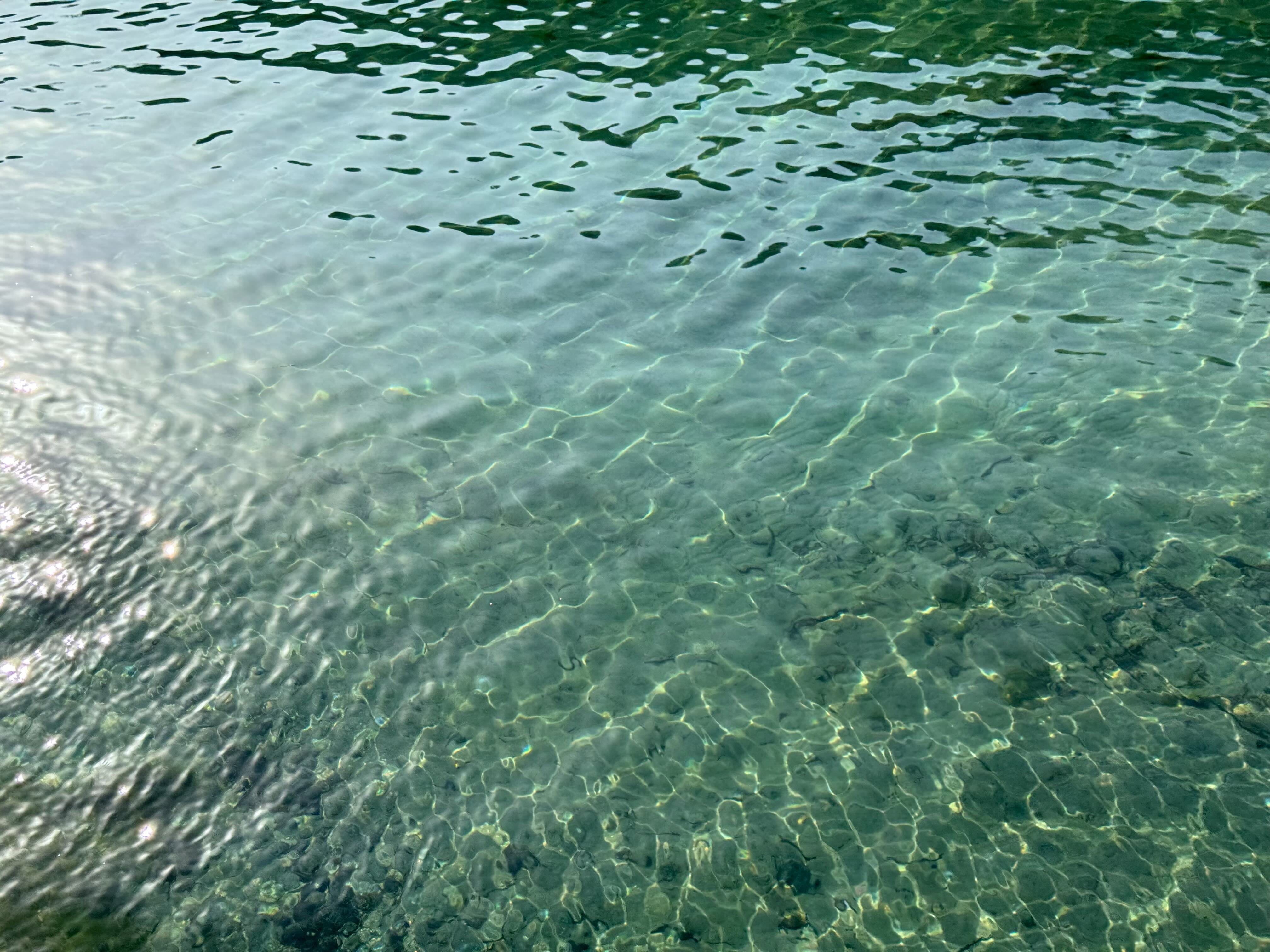 2024年4月の画像