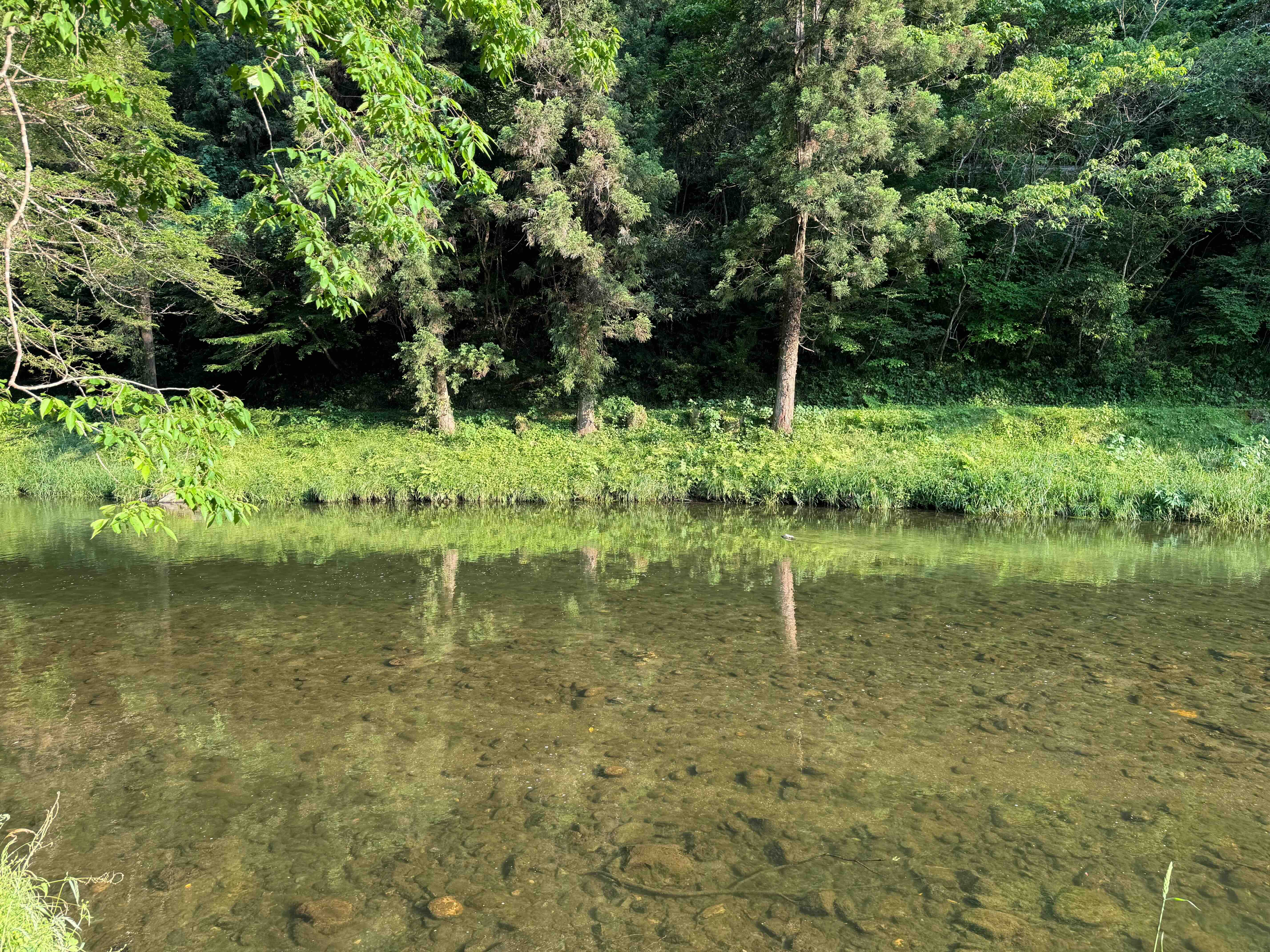 2024年7月の画像