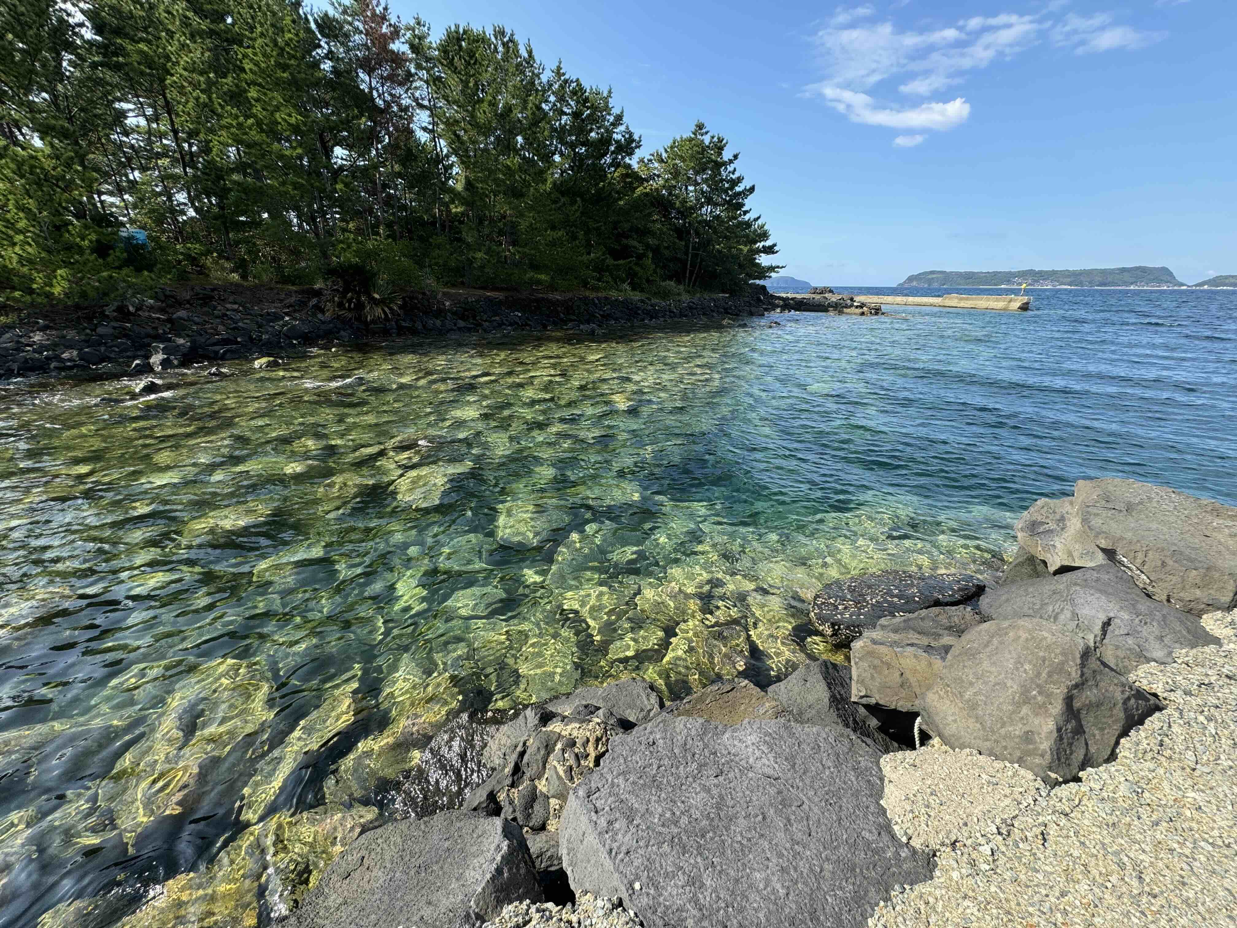 2024年10月の画像