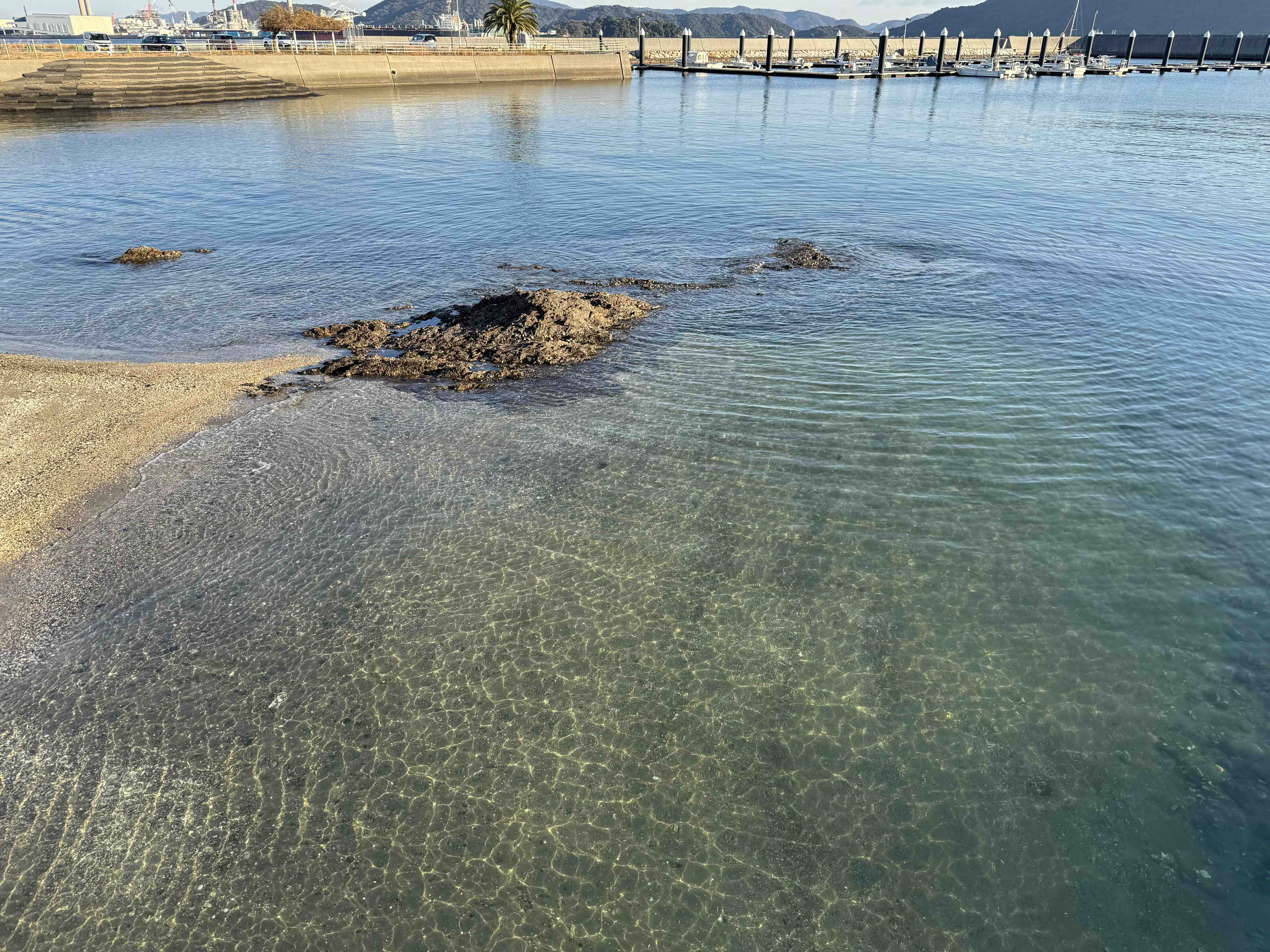 2025年2月の画像