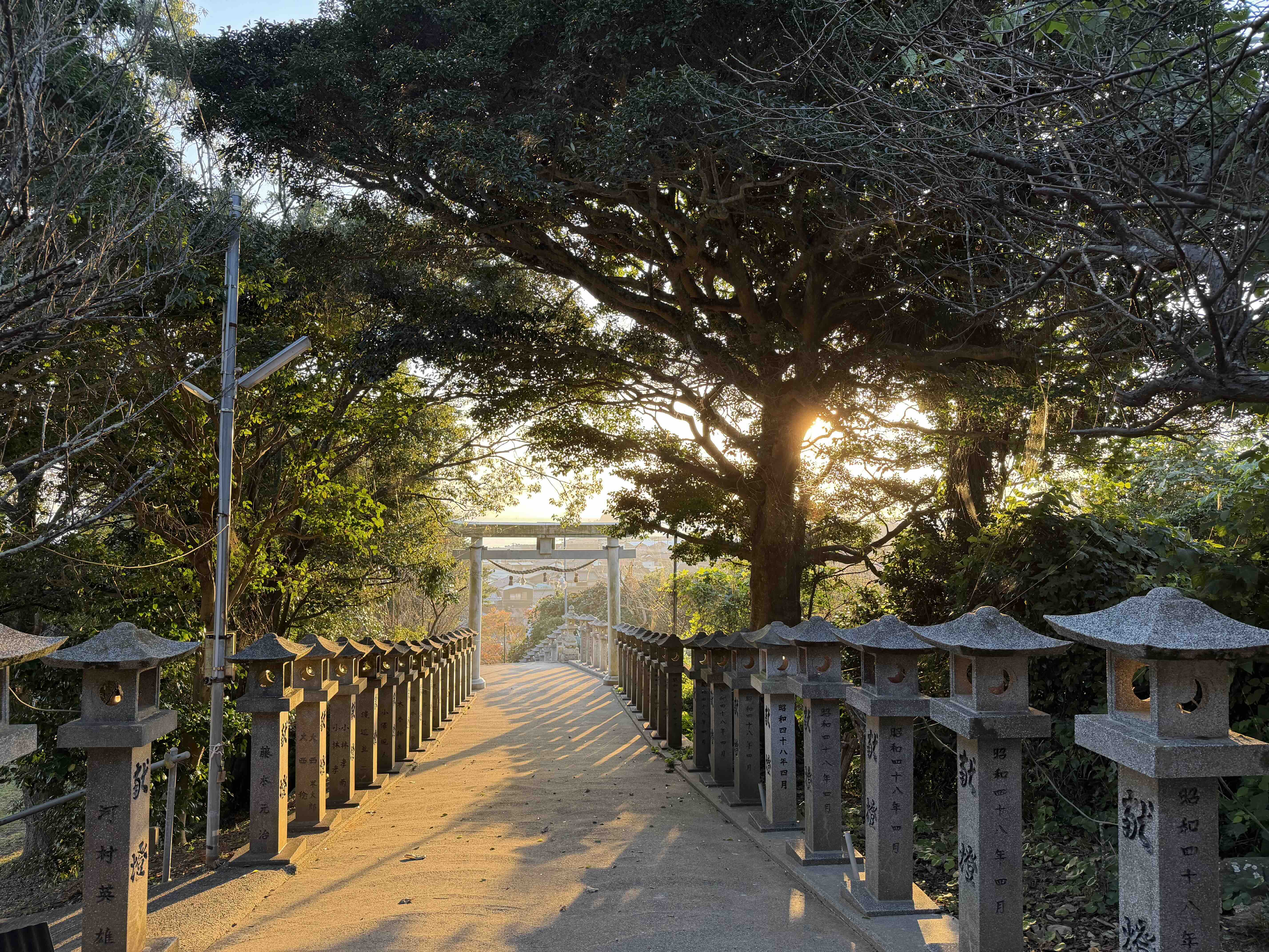 2025年12月の画像